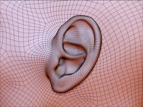 3d womans head model - Female Head by s7u4r7ll